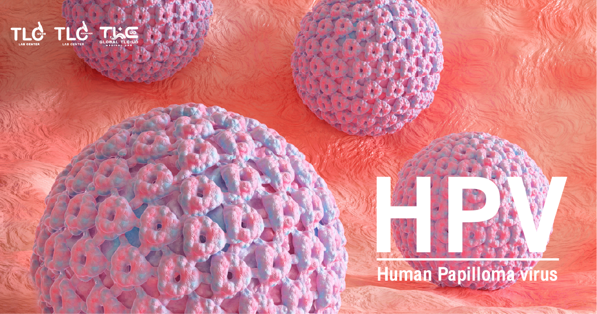 HPV เอชพีวี
