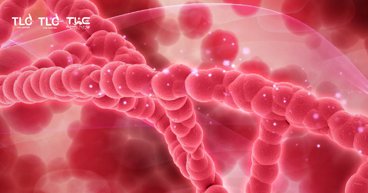 Cell regeneration and autophagy