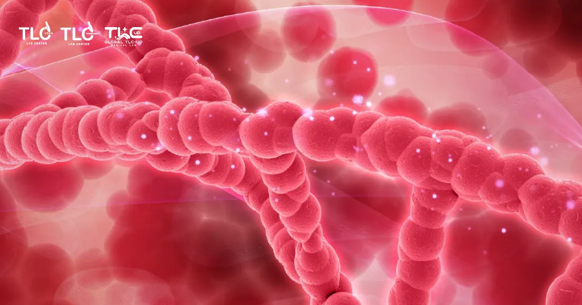 Cell regeneration and autophagy