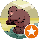 Beaver Journey profile picture