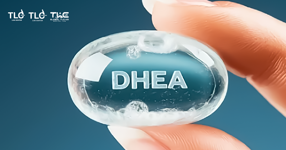 DHEA