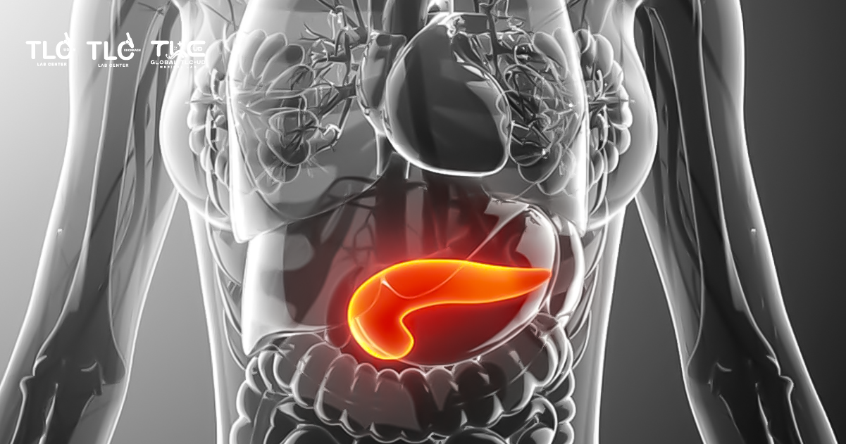 Pancreas ตับอ่อน