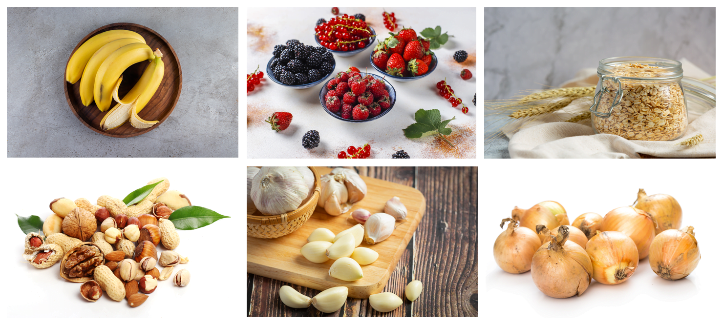 biotic food