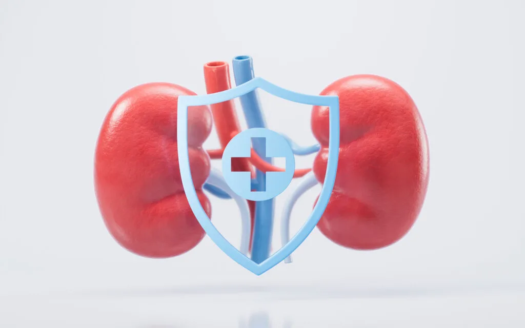 ชะลอ ไตเสื่อม - Slow Down Kidney Deterioration
