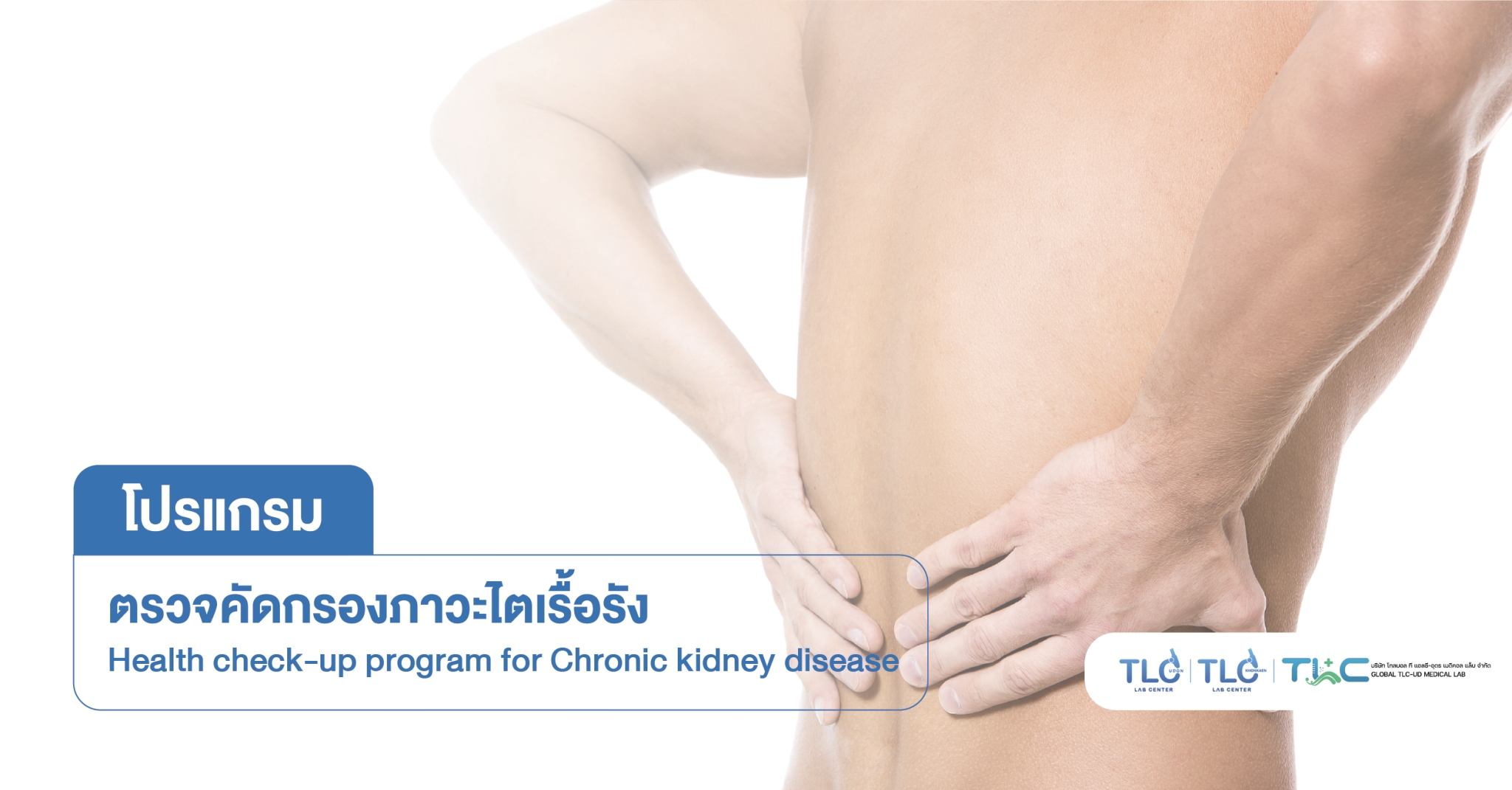 ตรวจคัดกรองการทำงานของ ไต - Kidney Function Assessment