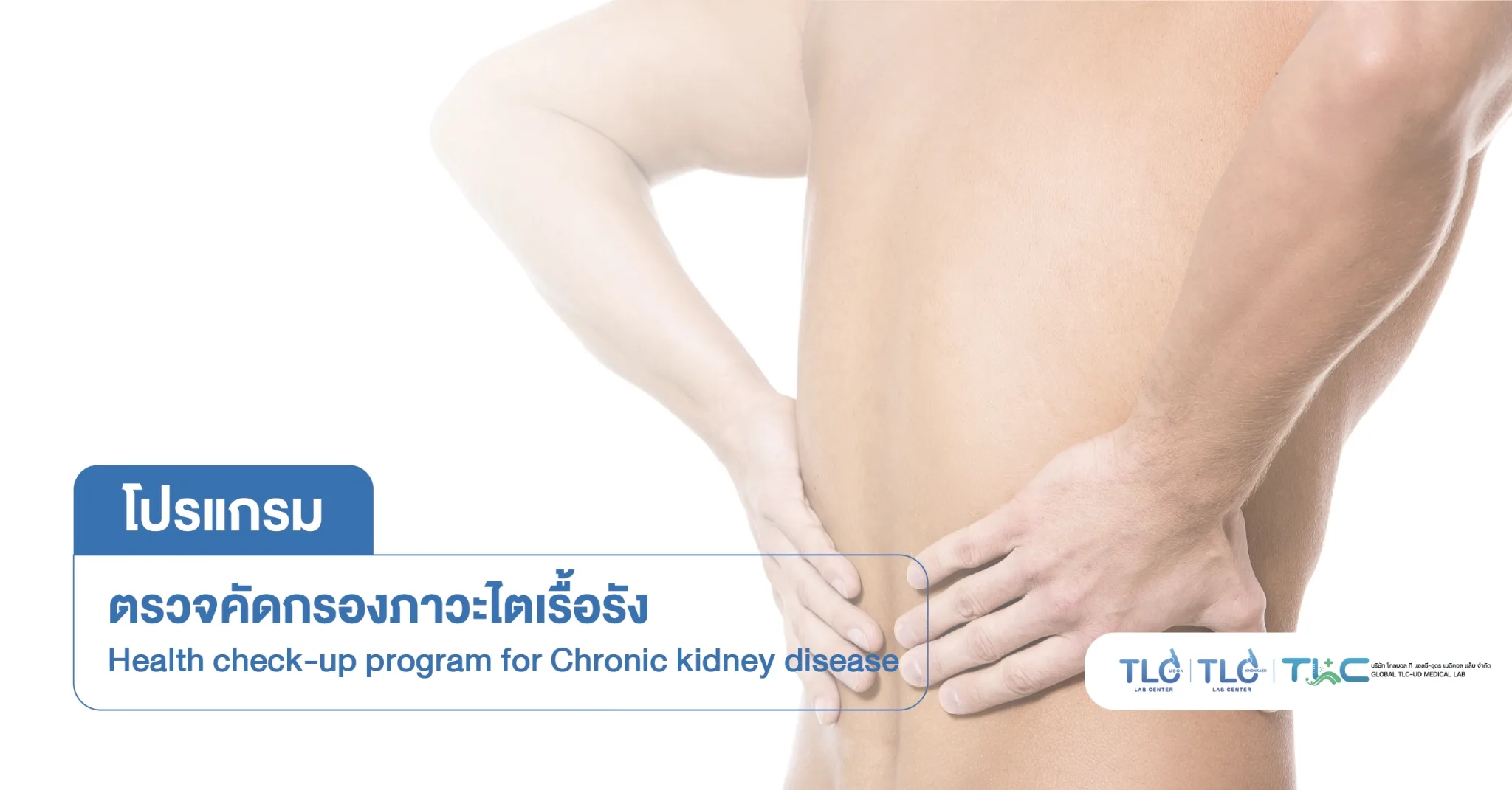 ตรวจคัดกรองการทำงานของ ไต - Kidney Function Assessment