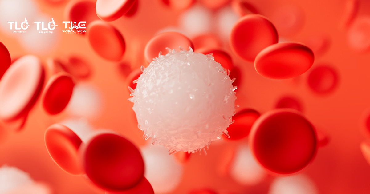 เม็ดเลือดขาว - White blood cell