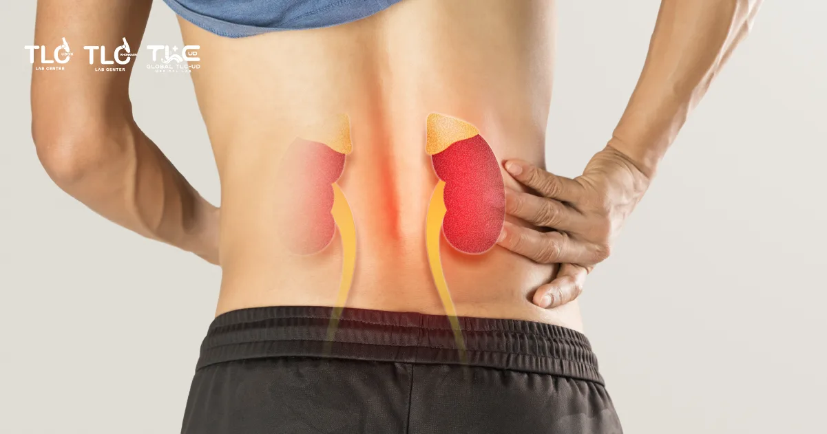 ไมโอโกลบิน Myoglobin